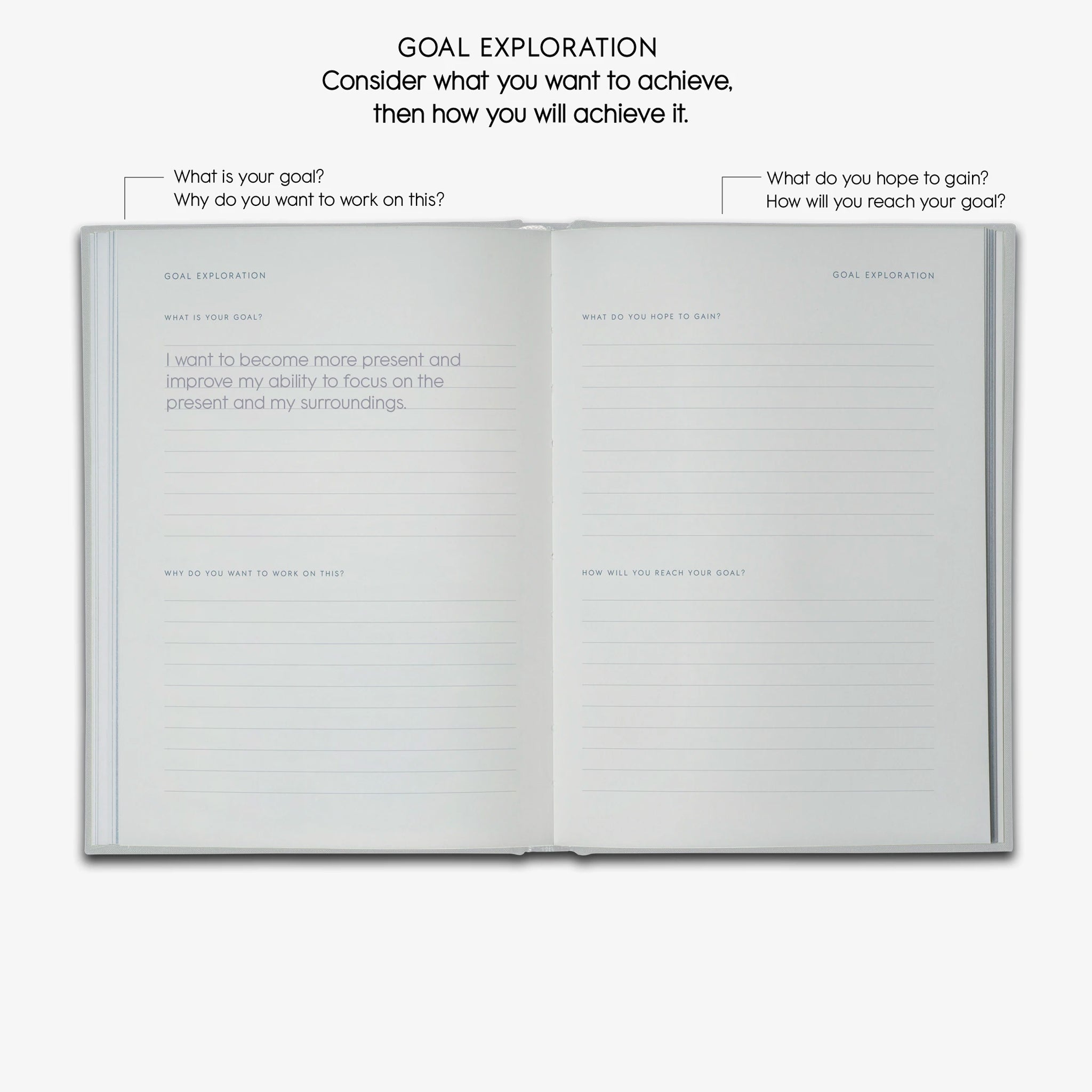 Goals Journal